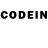 Псилоцибиновые грибы GOLDEN TEACHER Yarik Tyrykin