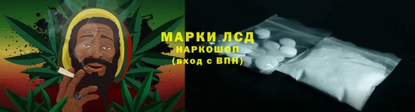 spice Липки