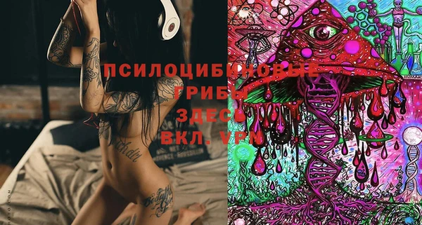 spice Липки