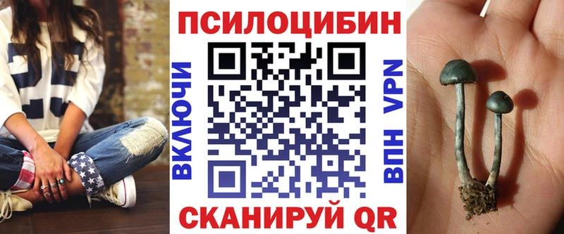 Купить где  Амурск  Псилоцибиновые грибы Psilocybe 